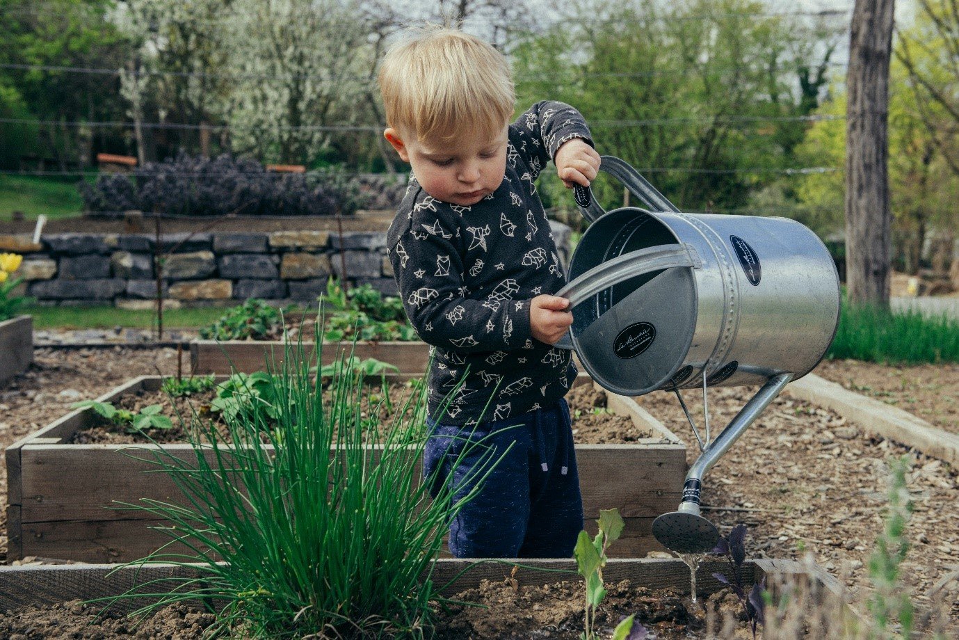 A child watering plants in a garden

Description automatically generated